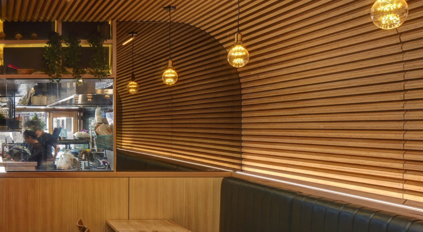 Sustainable bamboo forest with mature culms ready for harvest