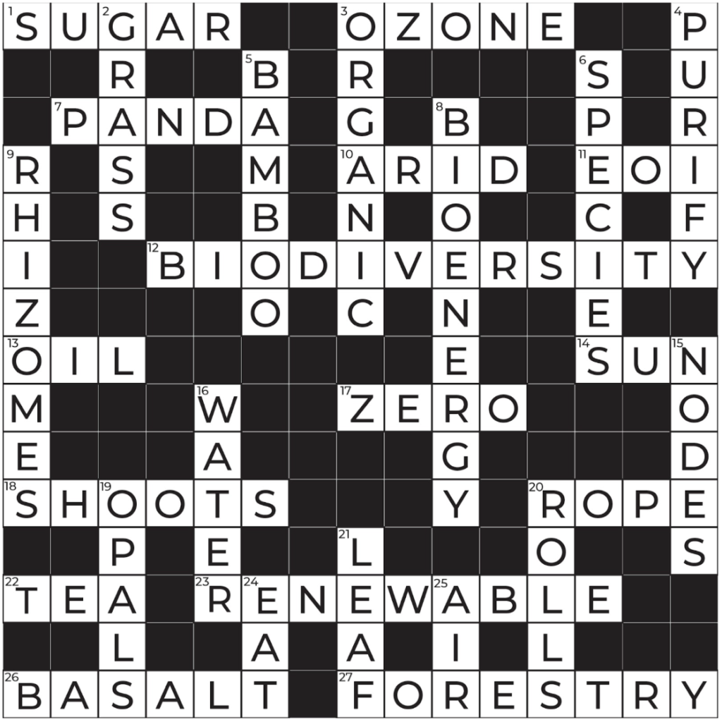 Crossword Puzzle The Bamboo Paper ISSUE #1 House of Bamboo