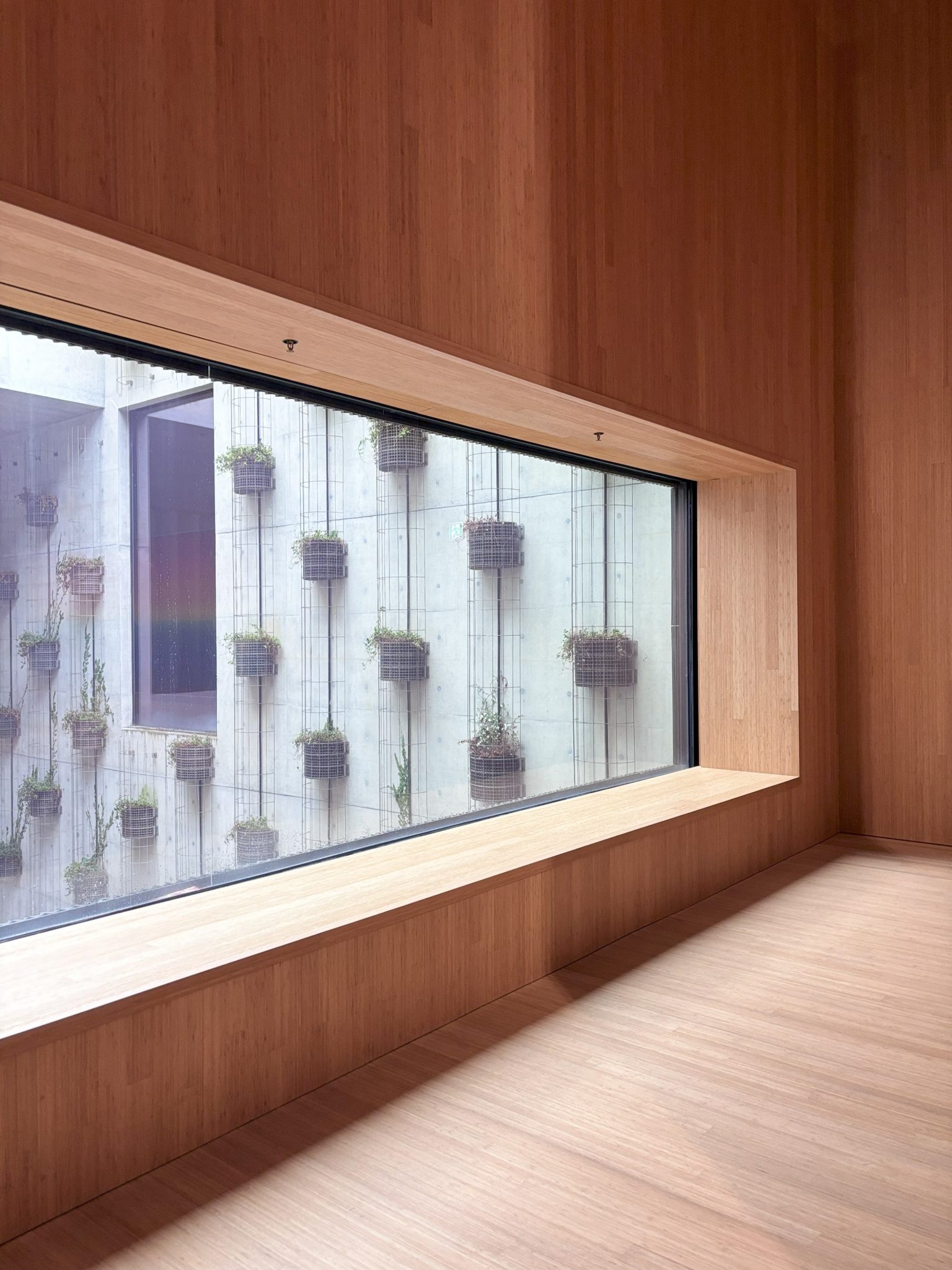 Bamboo Veneer
