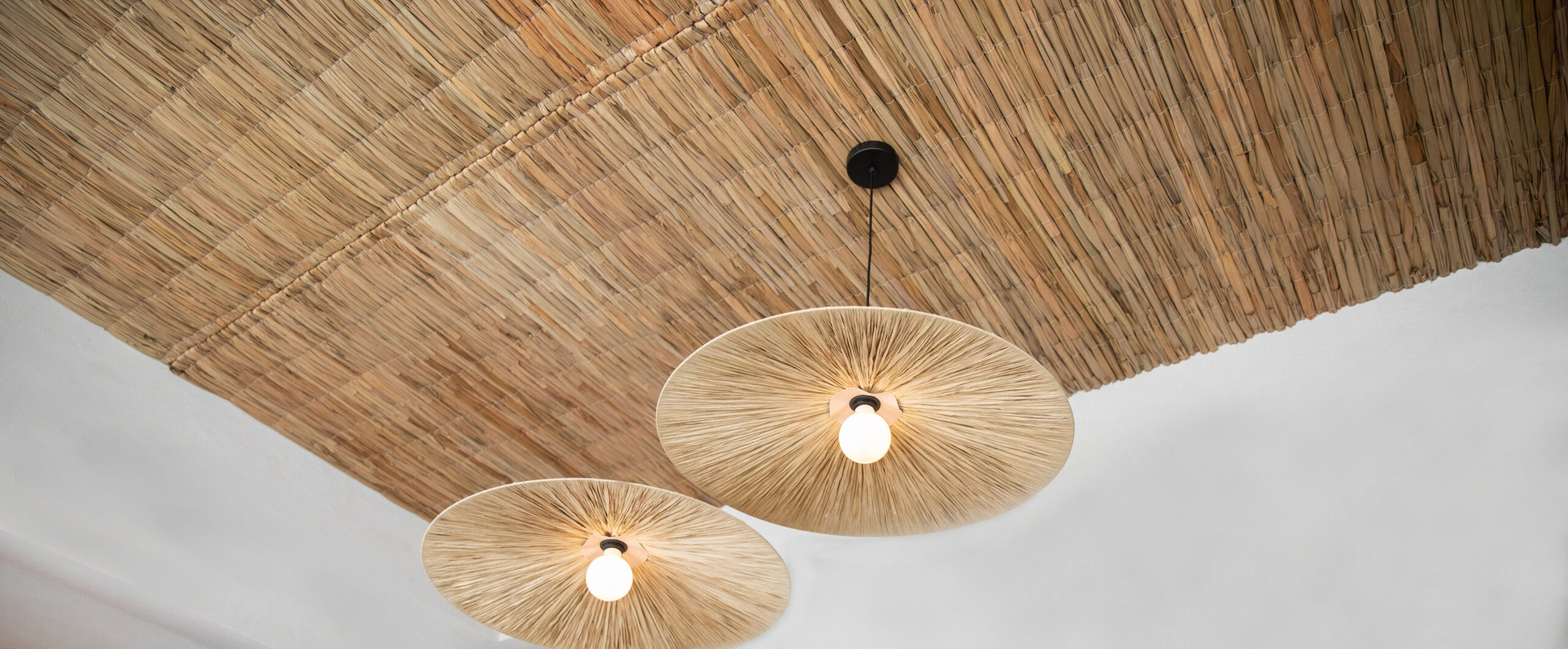 Palm Fibre